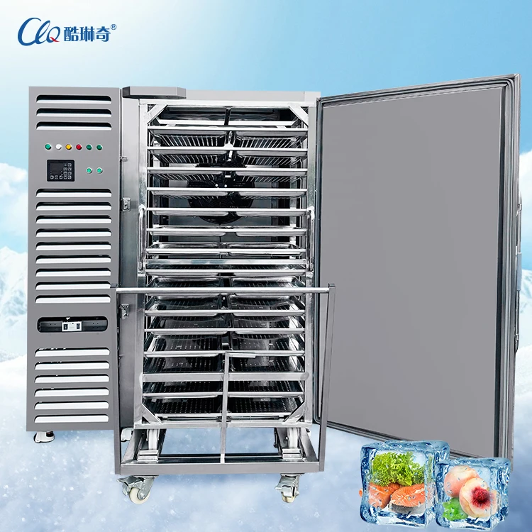 Commercial Shock Freezing Freezer, 3P 380V50HZ, 12KW - detail 8