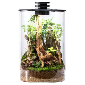 ZD-150/200 aquarium tank glass bio cylindrical terrarium glass plant terrarium bottle for landscaping design Mossarium