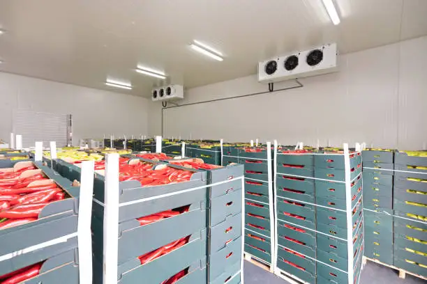 Freezer, JARYEE, 380V - detail 14