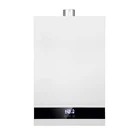 Gas Water Heater Water Heater New Gas Thermostat Thermal Liquefied Natural Gas Water Heater
