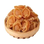 Abalone Hot Selling Good Quality Nutritious Shellfish Dried Abalone