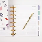 Spiral Agenda Fresh Pattern Disc Binding Planner Spiral Agenda Daily Planner Custom Printing With Oil Varnish