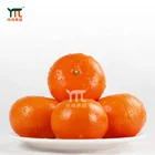 Sweet Yellow Sweet The Newest Original Chinese Fresh Natural Sweet Fruit Yellow Orange Citrus