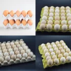 Tray Forming Machine Wanyou Small Recycled Waste Paper Egg Tray Machine With Aluminum Mold For Free