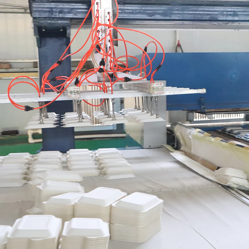 Automatic Biodegradable Disposable Paper Dish Tableware Making Machine with Sugarcane Bagasse Pulp manufacture