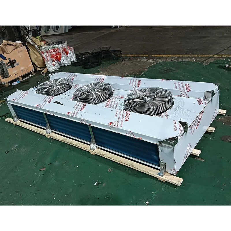Dual Discharge Air Cooler, Stainless, Steel, Ceiling - detail 16