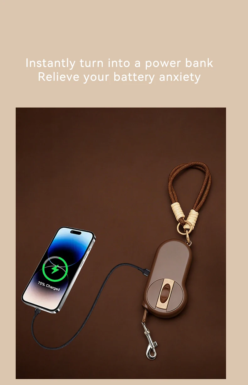 Wholesale New 2 in 1 Multifunctional Outdoor Portable Pet Leash USB Rechargeable Hand Warming Pet Supplies manufacture