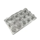 Egg Tray Egg OEM Customized Transparent Wholesale Egg Carton Blister Tray Disposable Blister Pack Tray