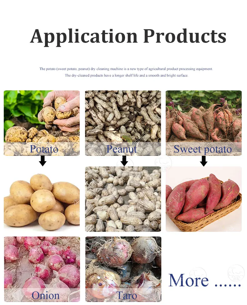 Stainless Elevator Bucket Washing Conveyor Belt Assembly Line Potato Carrot Ginger Presoaking Fruit Conveyor Elevator Machine factory