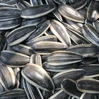 Seeds Wholesale Sunflower Seeds 361
