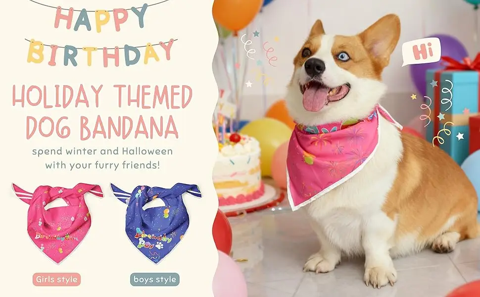 Birthday Dog Bandanas