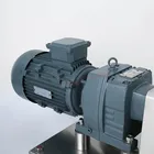 Pump Lobe Pump Food Grade Sanitary Stainless Steel Honey Chocolate Shampoo High Viscosity Rotary Lobe Pump