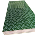 Vietnam Real Estate 18mm Green PP Sophie 18mm Film Faced Plywood Vietnam