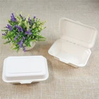 Lz-b004 Disposable Containers Cornstarch Fast Food Biodegradable Takeaway Lunch Box