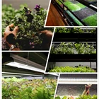 Energy Saving Lamp Energy Saving Indoor Growing Best Quality T5 Plant Fluorescent Lamp