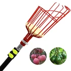 Telescopic Pole Garden Tool Fruit Picker Exten-hiclean Telescopic Pole Garden Tool Fruit Picker Manual Orange Picker