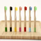 Bamboo Reusable Biodegradable Organic Adult Bamboo Toothbrush