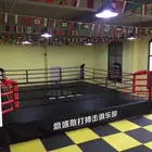 5m*5m Customized Size MMA Octagon Competition Boxing Equipment Boxing Ring