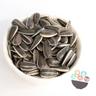 Chinese Meirenxin Type Small Size Raw Sunflower Seeds