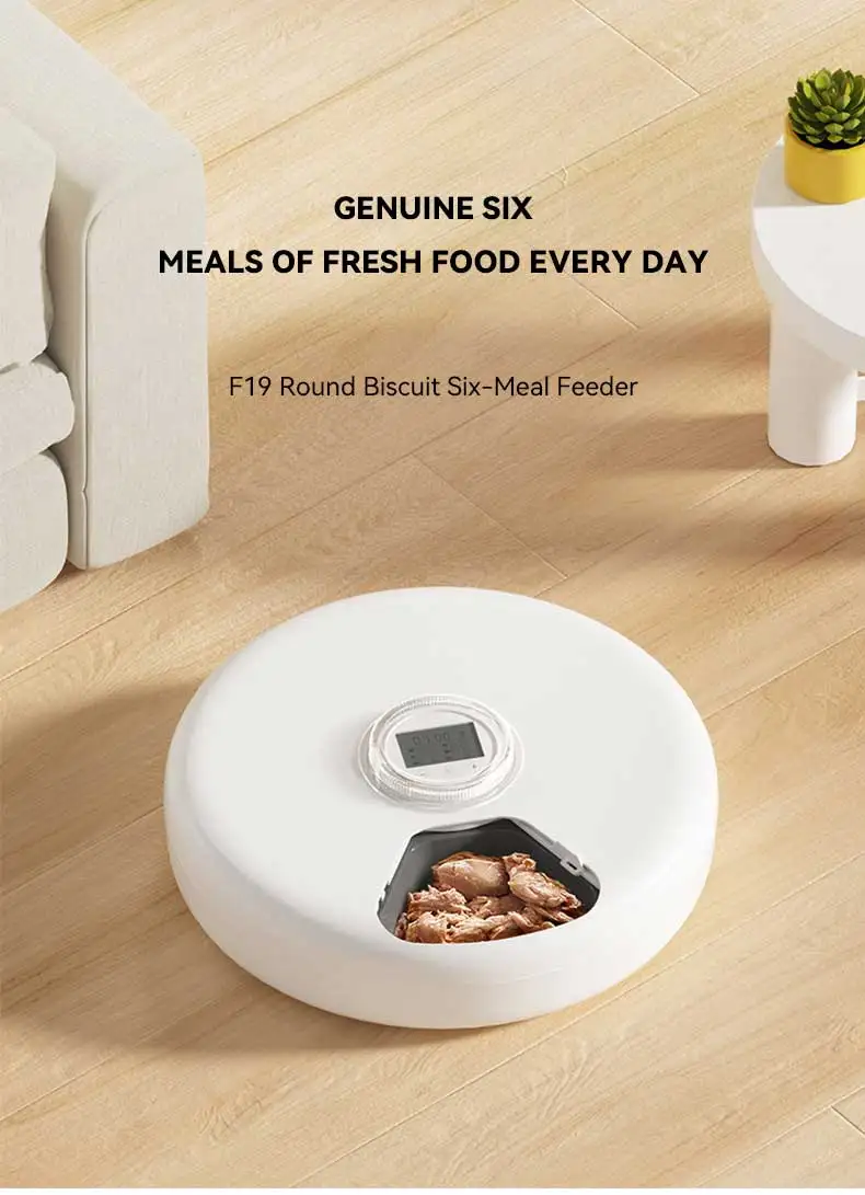Hot Sale 6 Meal Pet Smart Feeder 24H Timing Cold Fresh Food Dispenser for Dogs and Cats Automatic Pet Feeding Supplies supplier