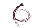 Cable Wire Sleeves Eletrical Cable Braid Standard Cable Wire Harness Sleeves