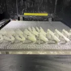 3d Printing Service Professional High Precision 3D Printing Lifesize Tooth Model Medical Parts Rapid Prototype Service