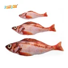 Controlled Toy Quality Controlled Interactive And Sustainable Cat Fish Toy