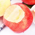 Fruit Export 2021 New Crop Fresh Apple Fruit With Good Price
