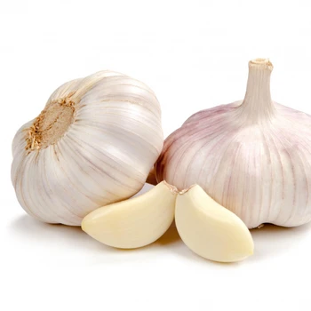 high quality chinese normal purple white garlic fresh garlic