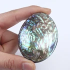 Shell Abalone 50-60mm Natural Polished Shell Natural Craft Abalone Shell