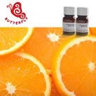 Flavor Over 200 Different Taste Flavors High Concentrat Flavor
