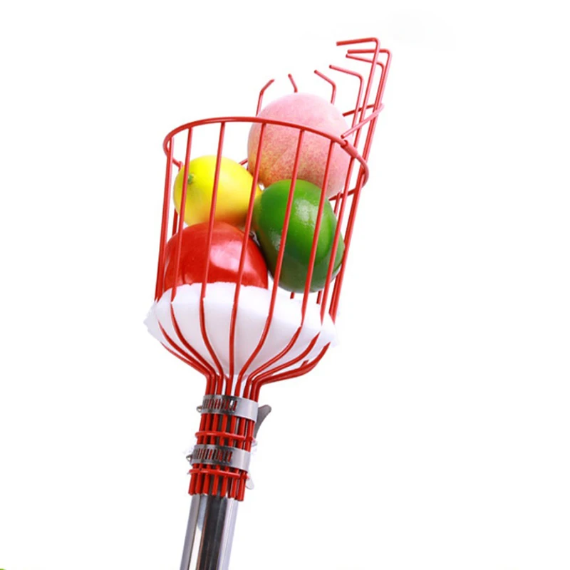 Fruit Picker (5).jpg