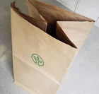 Kraft Paper Liner Paper Heavy Duty Kraft Paper Sacks Brown Paper Sack With Logo Printed PE Liner