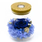 Glass Rose Beauty And The Beast Forever Preserved Eternal Roses With Colorful Mood Led Light Glass Wishing Bottle