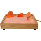 Natural Pink LED Novelty Toy Mini Office Natural Pink Himalayan Salt Zen Garden Wholesale With Lamp