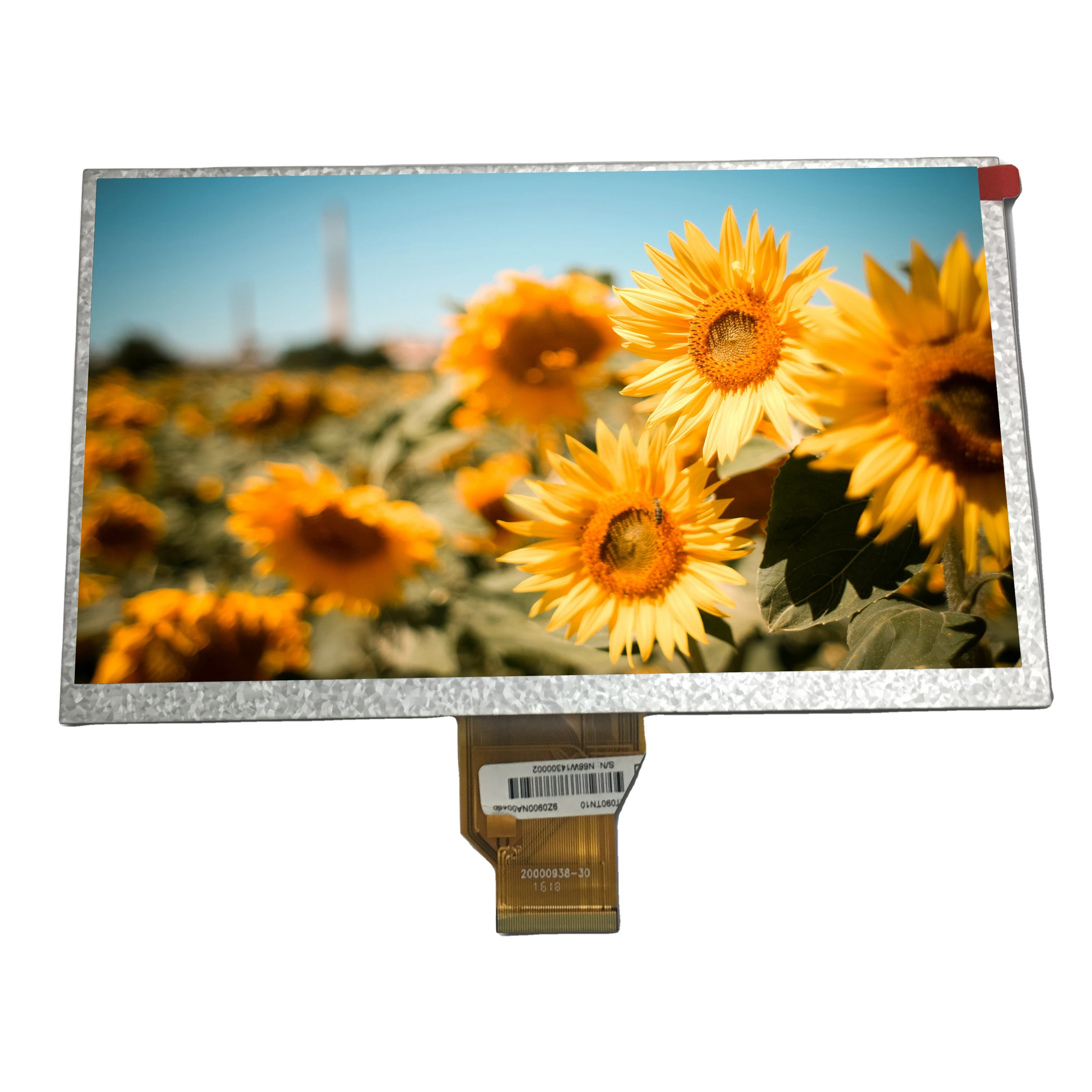 wvga or tft lcd factory