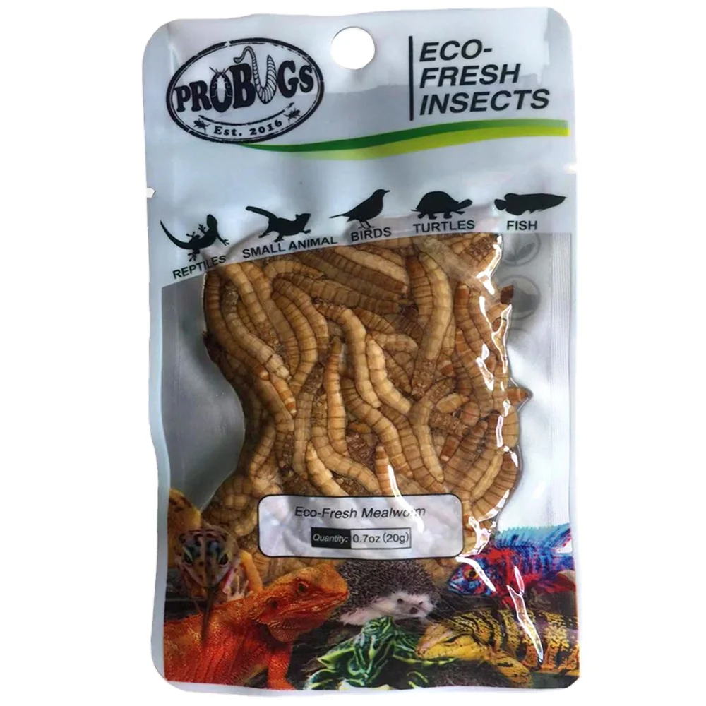 The Healthiest And The Safest Pets Meal Eco Fresh Mealworm For  Newts,Frogs,Birds Food Meal - Buy The Healthiest And The Safest Pets  Meal,Eco Fresh Mealworm,For Newts Frogs Birds Food Meal Product on