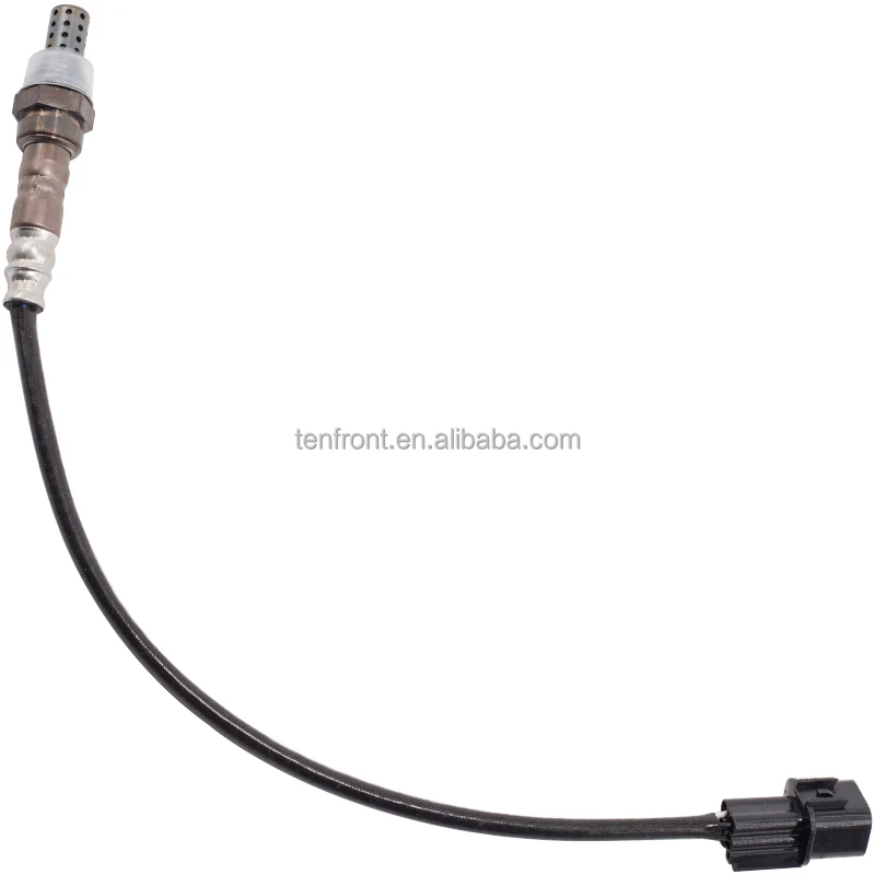 MD312083 (3).jpg