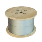 Wire Galvanized Steel Wire Rope Steel Wire Cable Steel Strand Hot- Selling Wire Rope 7*7 7*19 6*19+FC 6*7+FC
