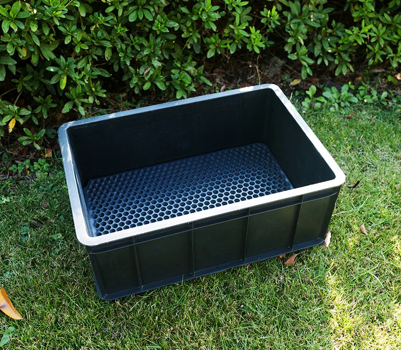 LT303 658 hole Plastic Bean Seeding Box Germination Trays Seed Sprouter Tray Nursery Seeding Flat Trays