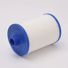 Pool Factory Wholesale Customizable Filter Cartridge For Spa For Swim Pool And Spa Water