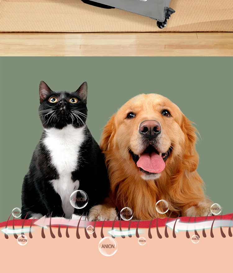 G5-S Hot Sale Cat and Dog Hair Dryer Cabinet Small Pet Dryer Machine Stainless Steel Pet Blower China Factory Direct Supplier