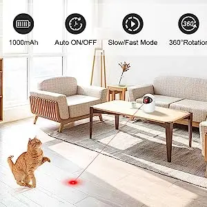 cat toys