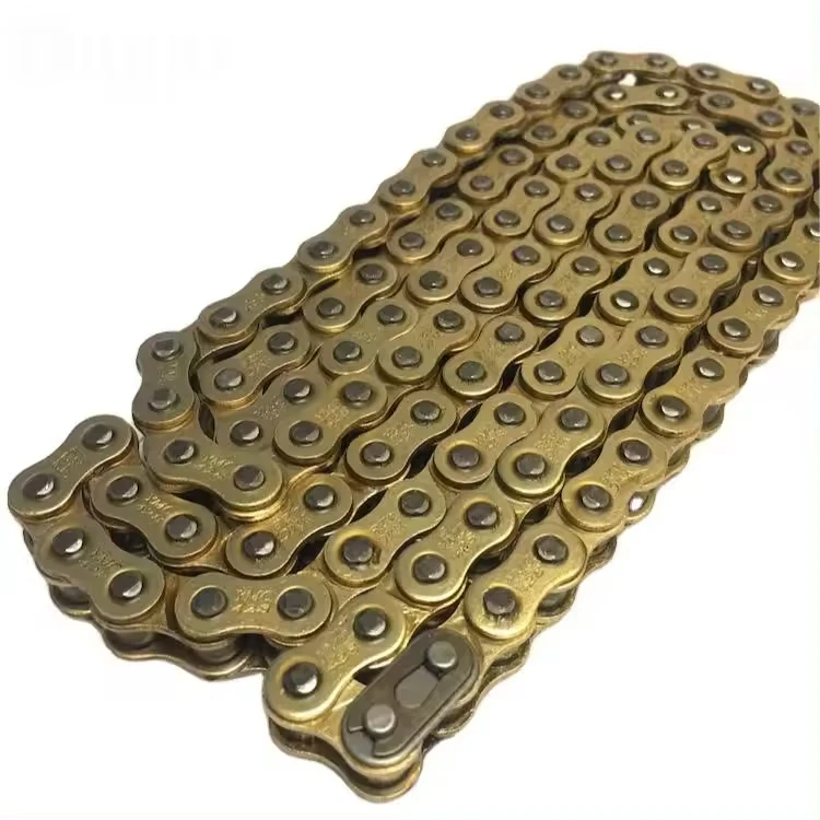 motorcycle chain (4)