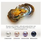 Pearl Pearls Bulk Wholesale 6-8mm Akoya Pearl Oyster With Round Natural Saltwater Pearls