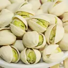 Pistachio Nuts Nuts High Quality Pistachio Nuts From China For Sale
