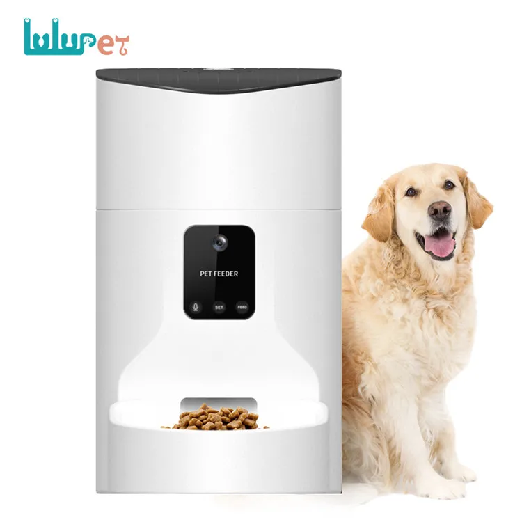 big dog automatic feeder