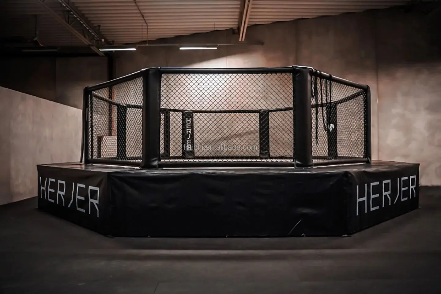 mma cage  001 