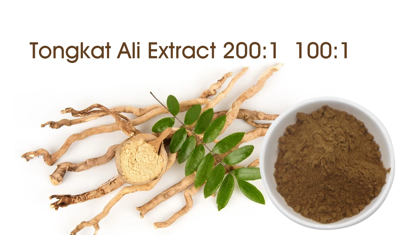 Tongkat Ali Extract