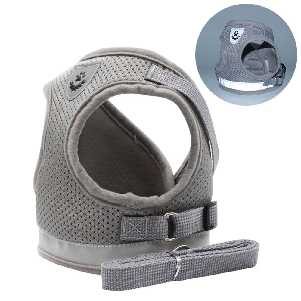 polyester dog leash in grey colour